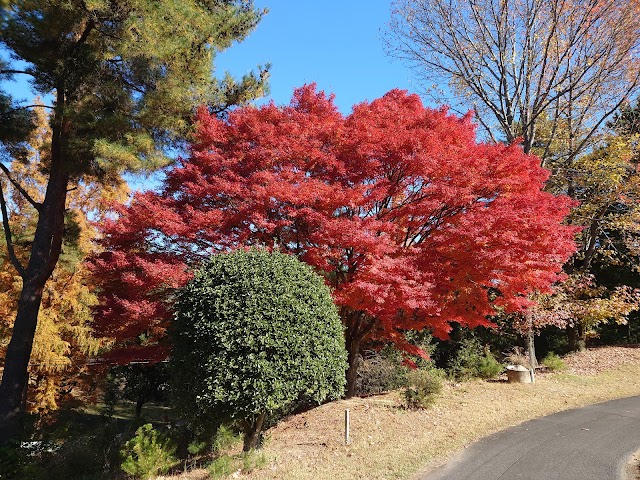 福山カントリークラブ - Photo 3