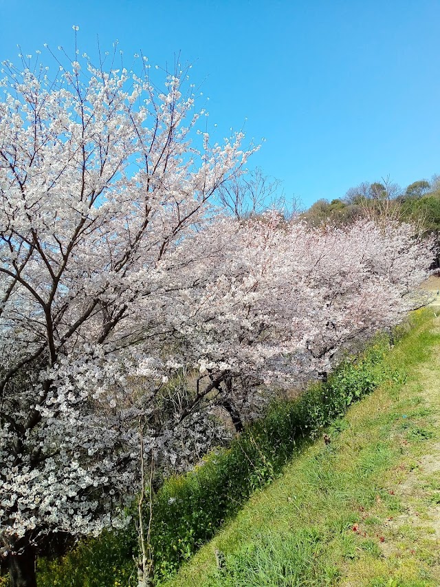 福山東ゴルフクラブ - Photo 6