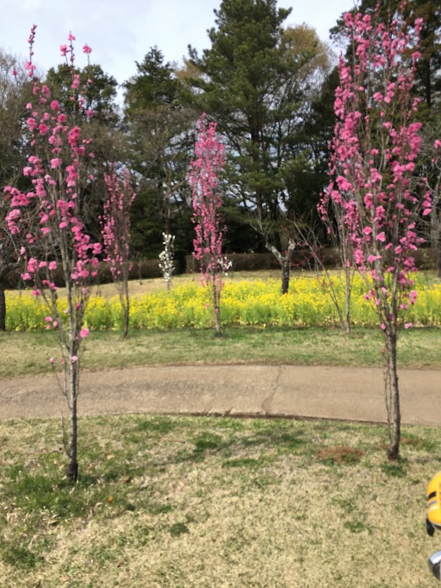 船橋カントリークラブ - Photo 3
