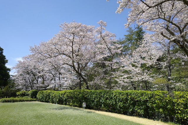 伏尾ゴルフ倶楽部 - Photo 4