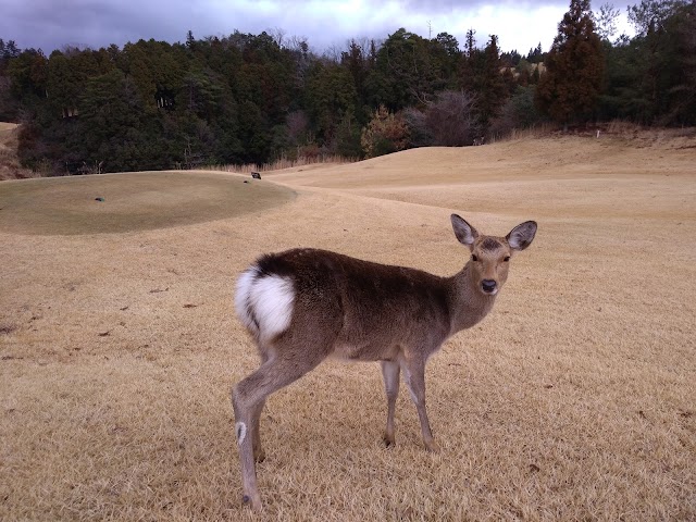 双鈴ゴルフクラブ　土山コース - Photo 6