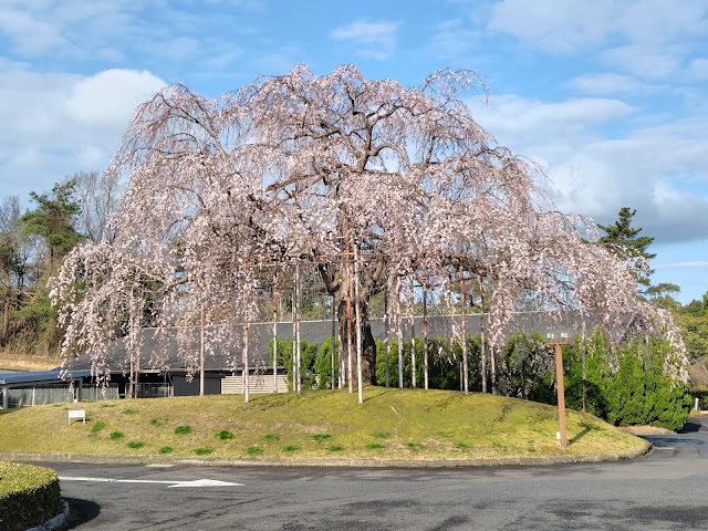 蒲生ゴルフ倶楽部 - Photo 2