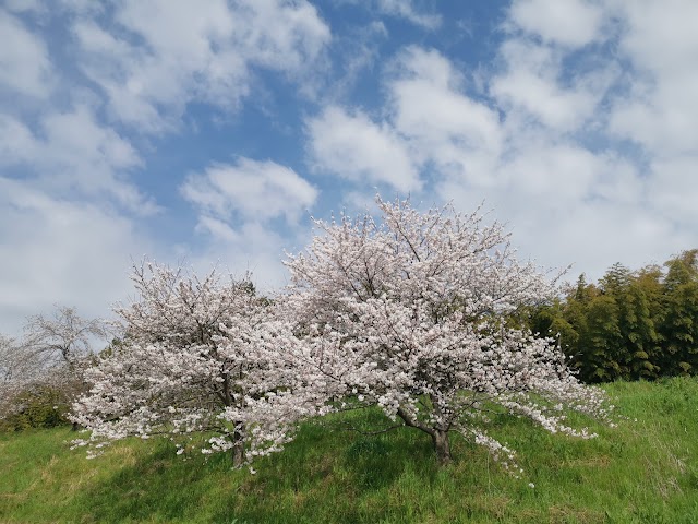 岐阜羽島ゴルフクラブ - Photo 4