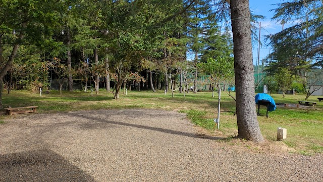 ゴルフプラザサンライズ - Photo 7