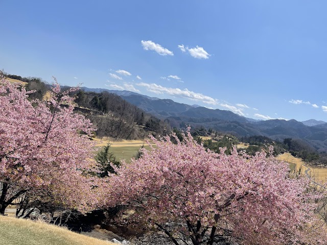 倶楽部　我山 - Photo 1