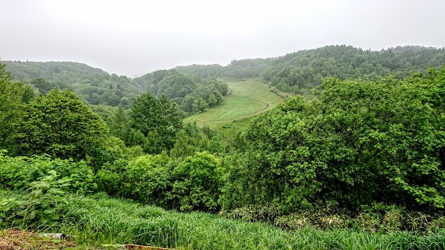 グランド札幌カントリークラブ - Photo 7