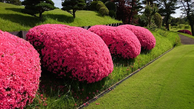 八王子カントリークラブ - Photo 4