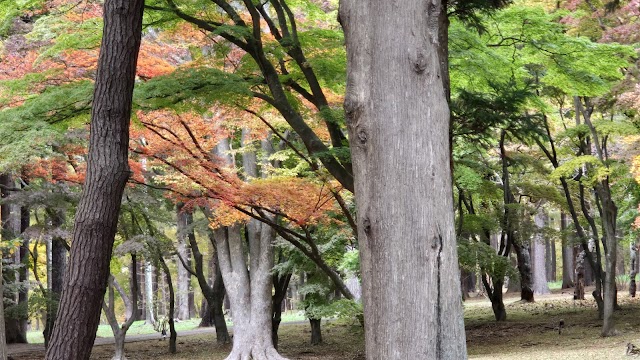 函館ゴルフ倶楽部　湯の川ゴルフ場 - Photo 4