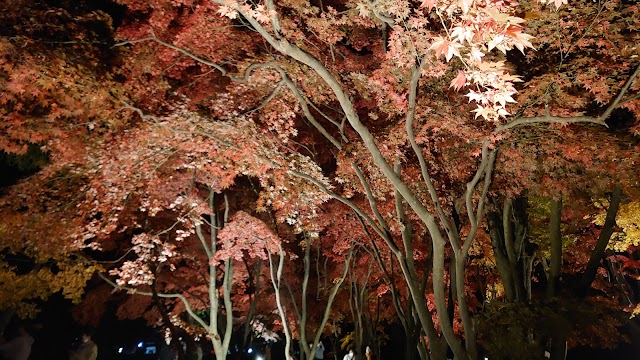 函館ゴルフ倶楽部　湯の川ゴルフ場 - Photo 6