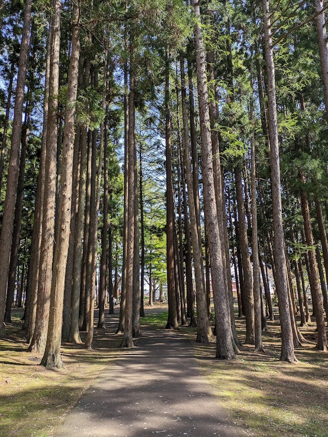 函館ゴルフ倶楽部　湯の川ゴルフ場 - Photo 9