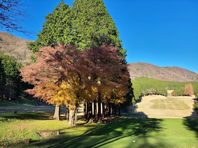 箱根湖畔ゴルフコース - Photo 6