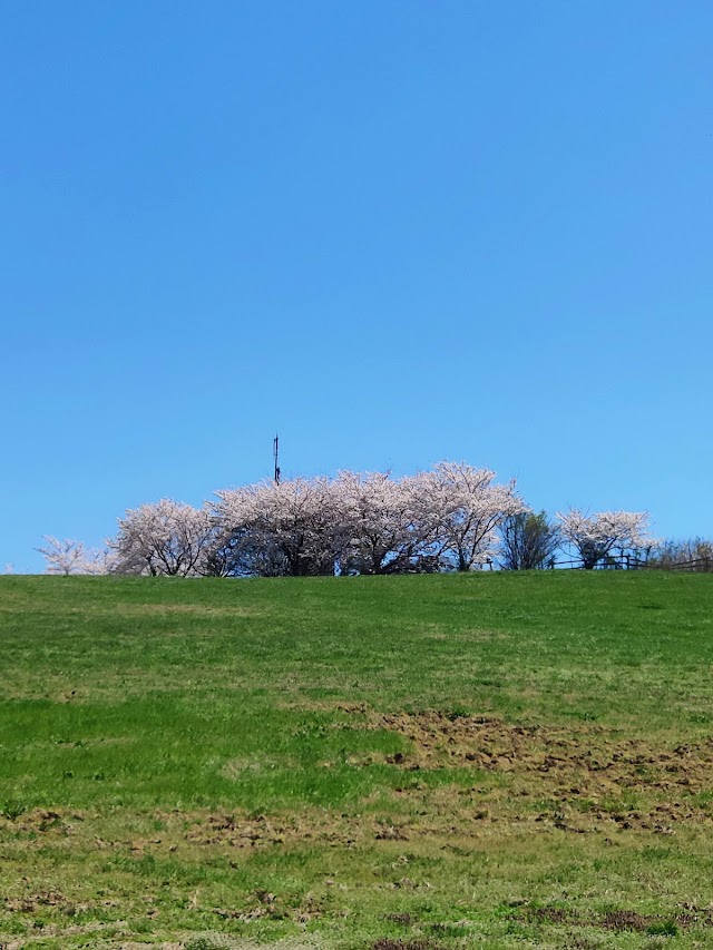白山カントリー倶楽部　泉水コース - Photo 5