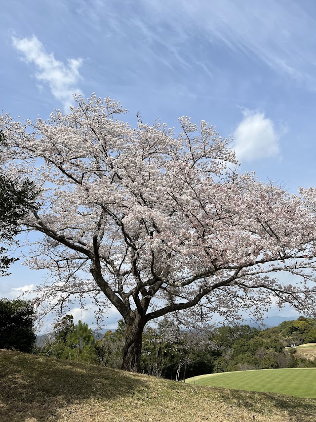 浜松カントリークラブ - Photo 4