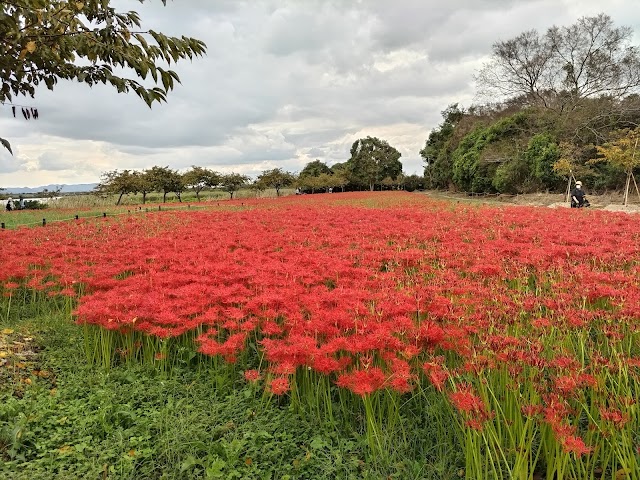 花回廊ゴルフコース - Photo 6