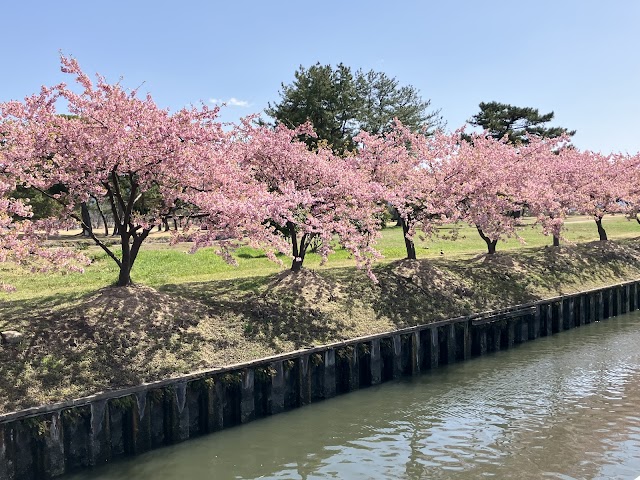 花回廊ゴルフコース - Photo 3