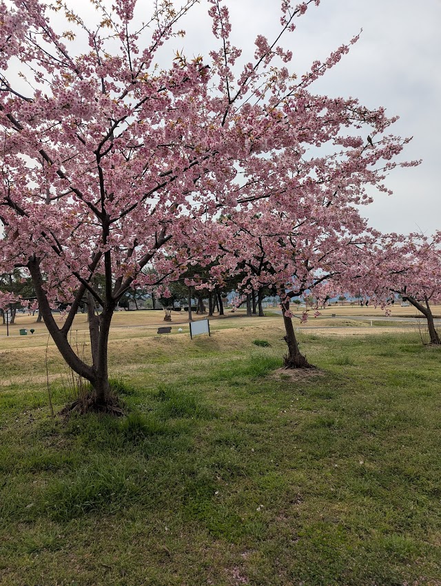 花回廊ゴルフコース - Photo 8