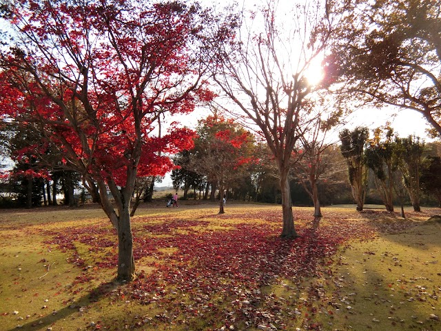 花見ケ丘ゴルフセンター  - Photo 4