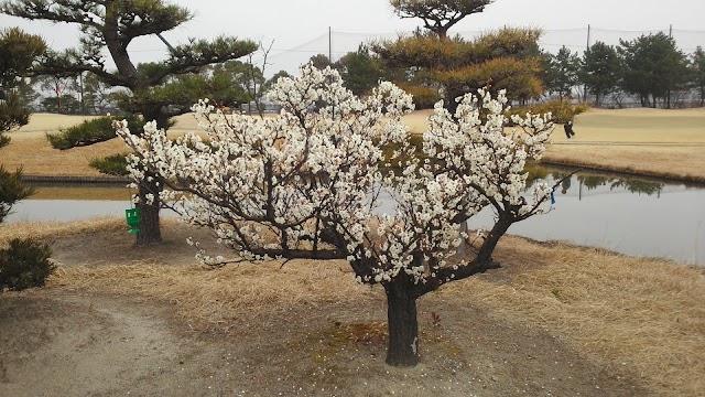 半田ゴルフリンクス - Photo 2