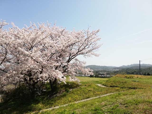 阪南ゴルフクラブ - Photo 1