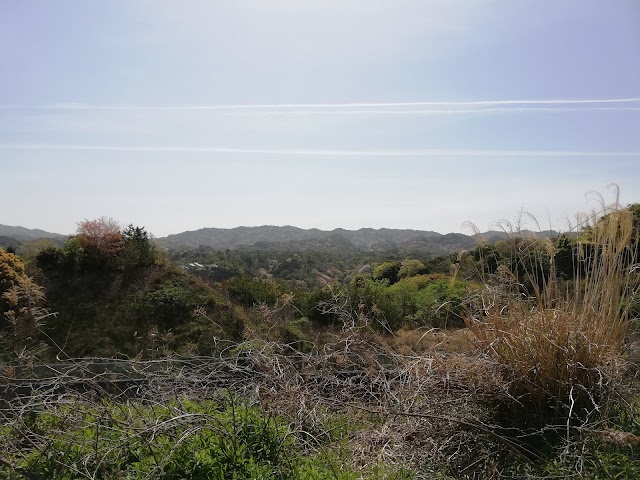 阪南ゴルフクラブ - Photo 5