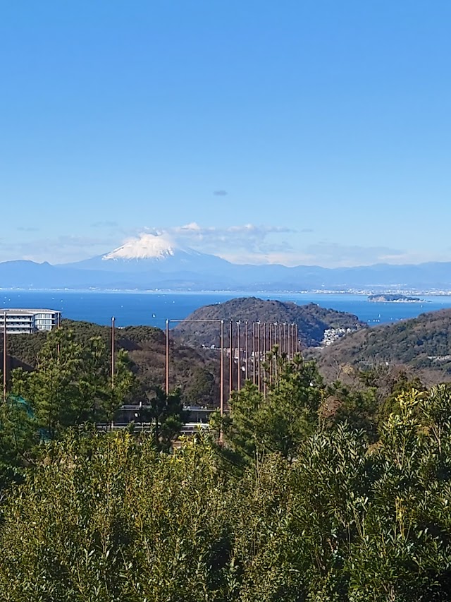 葉山国際カンツリー倶楽部 - Photo 6