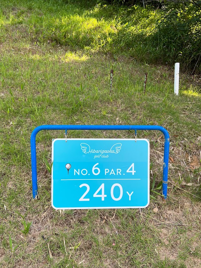 ＨＩＢＡＲＩ　ＧＯＬＦ - Photo 5