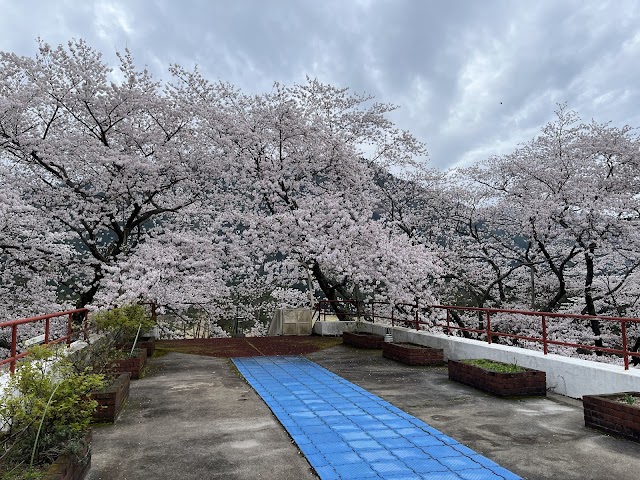 ひかみカントリークラブ - Photo 6