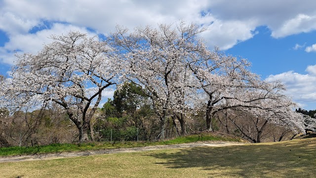 光丘カントリー倶楽部 - Photo 6