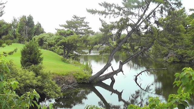 光丘パブリックゴルフ場 - Photo 2
