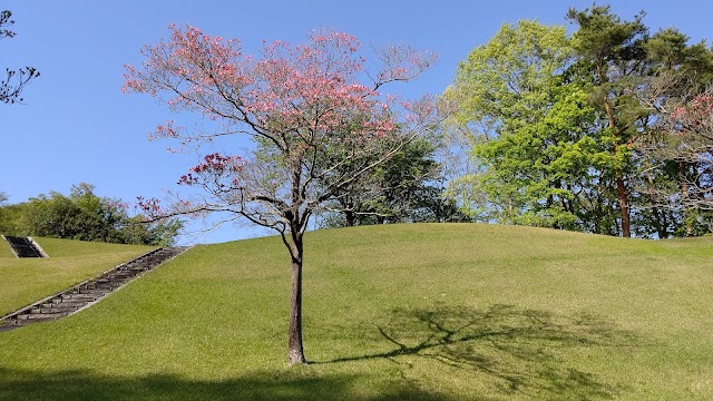 彦根カントリー倶楽部 - Photo 6