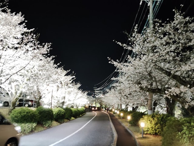 枚方カントリー倶楽部 - Photo 9