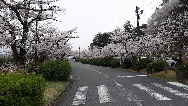 枚方カントリー倶楽部 - Photo 3