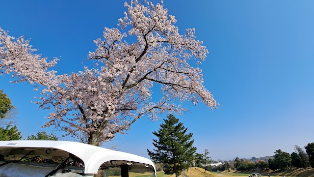 枚方国際ゴルフ倶楽部 - Photo 1