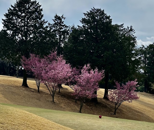 平塚富士見カントリークラブ - Photo 7