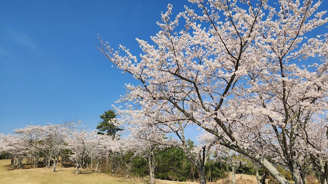 広島みずほカントリークラブ - Photo 8