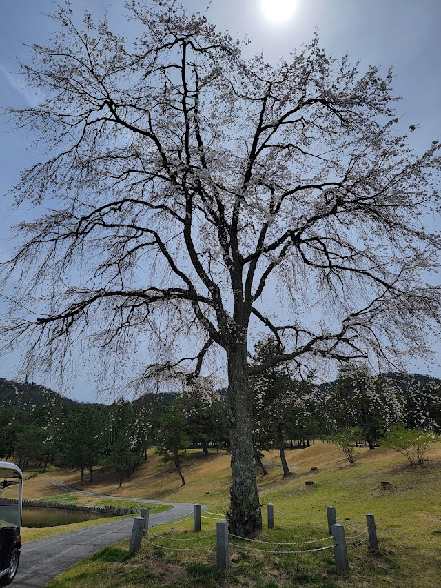 広島みずほカントリークラブ - Photo 1