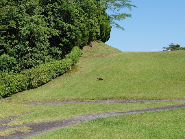 広島佐伯カントリー倶楽部 - Photo 4