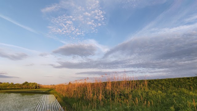 一ツ瀬川県民ゴルフ場 - Photo 2