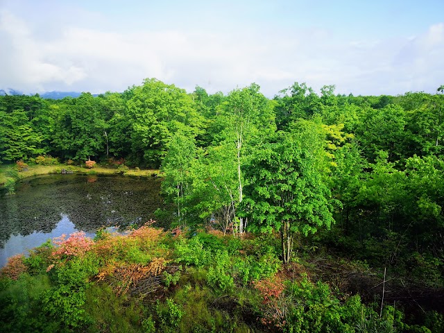 北海道カントリークラブ　大沼コース - Photo 9