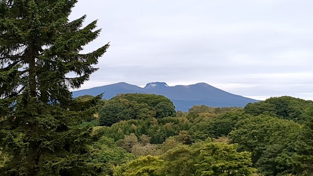 北海道ポロトゴルフクラブ - Photo 3