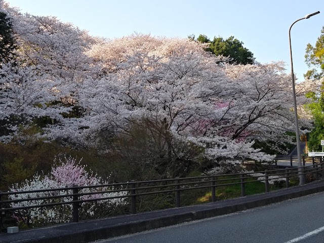 本厚木カンツリークラブ - Photo 4