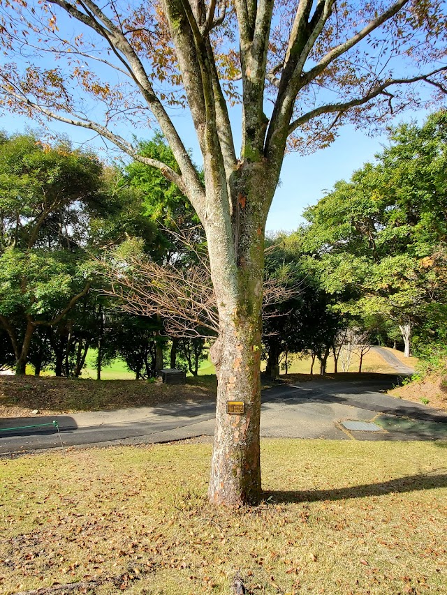 ホロンゴルフ倶楽部 - Photo 5