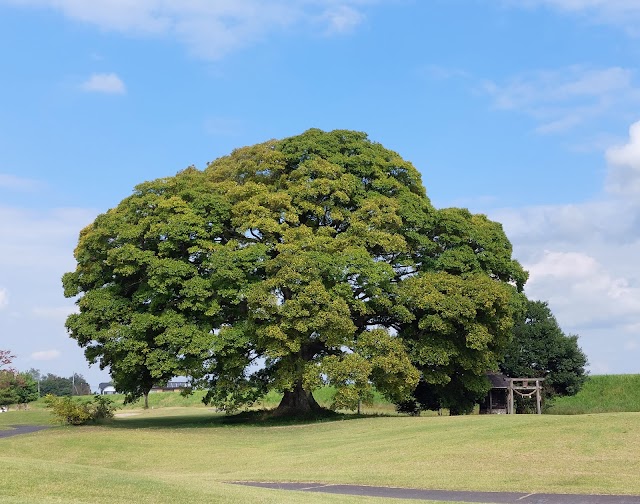 もおか鬼怒公園ゴルフ倶楽部 いちごゴルフクラブ - Photo 1