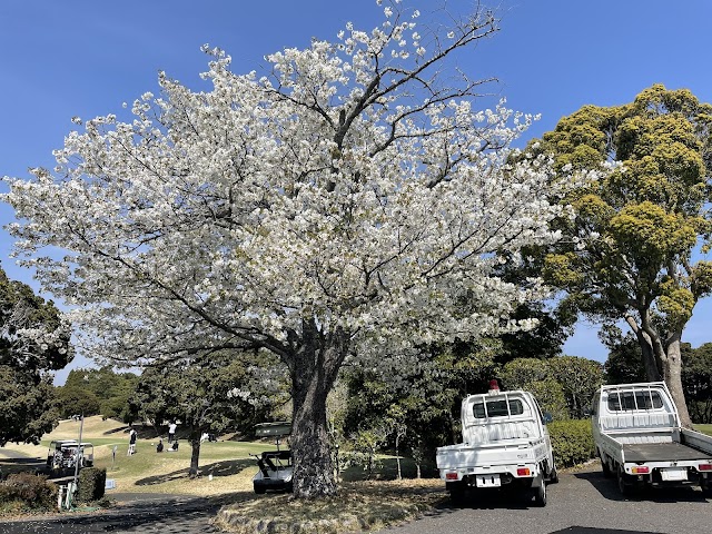 一の宮カントリー倶楽部 - Photo 5