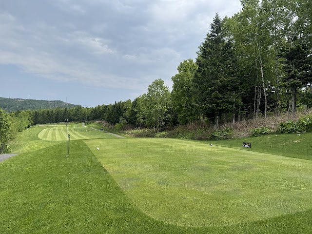 一達国際Ｐｒｉｖａｔｅ　Ｇｏｌｆ倶楽部 - Photo 7