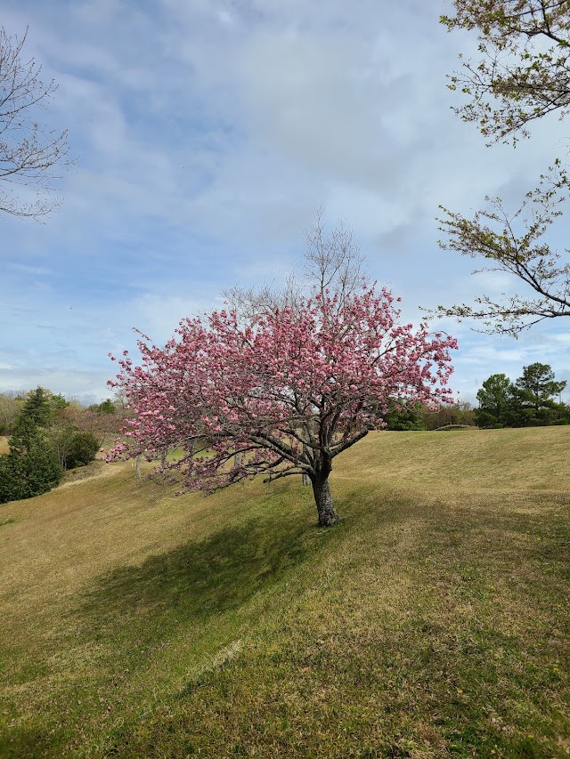 伊賀ゴルフコース - Photo 2