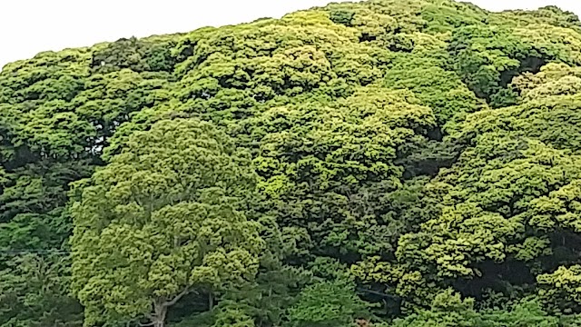 壱岐カントリー倶楽部 - Photo 2