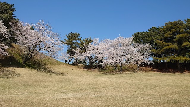 今治カントリー倶楽部 - Photo 6