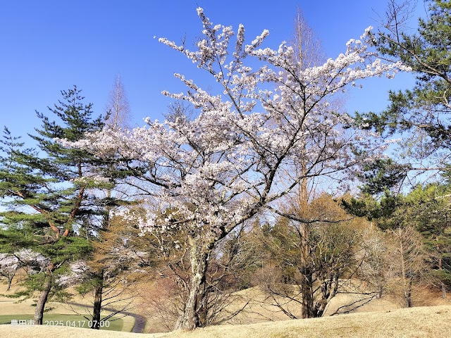 稲武カントリークラブ - Photo 4