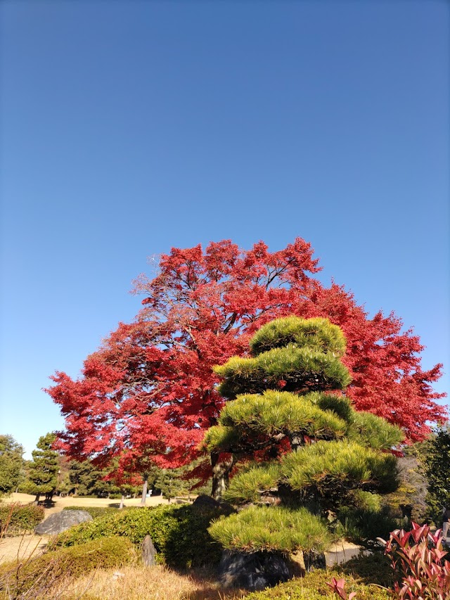 入間カントリー倶楽部 - Photo 5